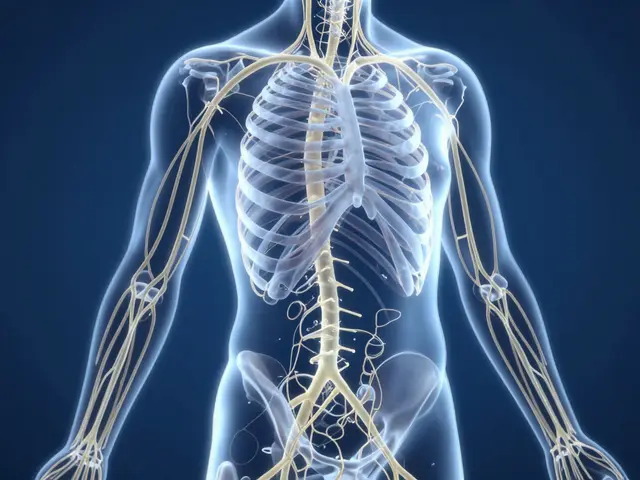 Lymfatická masáž: Průvodce pro odvodnění těla a lepší imunitu